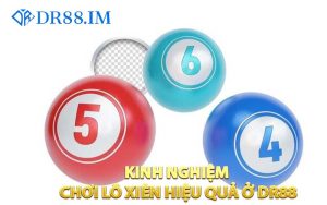 Hướng dẫn kinh nghiệm chơi lô xiên hiệu quả ở DR88