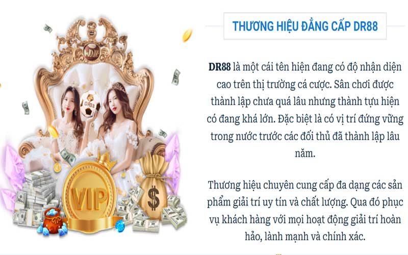 Tiêu chí đánh giá DR88 có hợp pháp tại Việt Nam không?