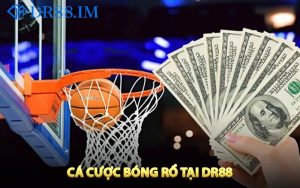 Giới thiệu tổng quan về cá cược bóng rổ
